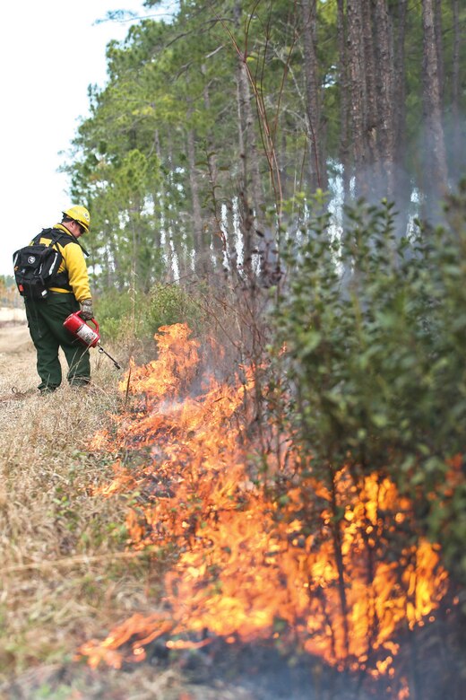 Personnel with MCAS Beaufort conduct a hazard reduction burn at Townsend Bombing Range Jan. 24. The burn was executed to reduce the risk of wildfires and to promote growth of wildlife and vegetation.