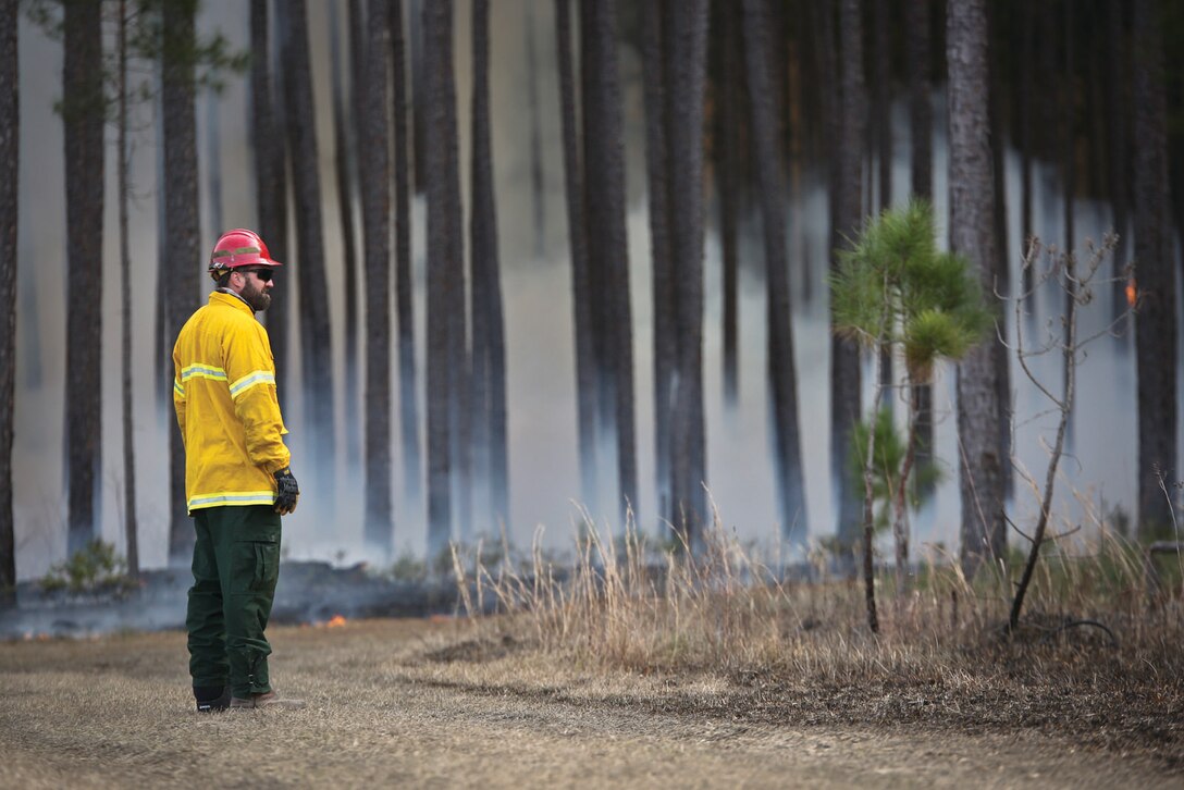 Personnel with MCAS Beaufort conduct a hazard reduction burn at Townsend Bombing Range Jan. 24. The burn was executed to reduce the risk of wildfires and to promote growth of wildlife and vegetation.