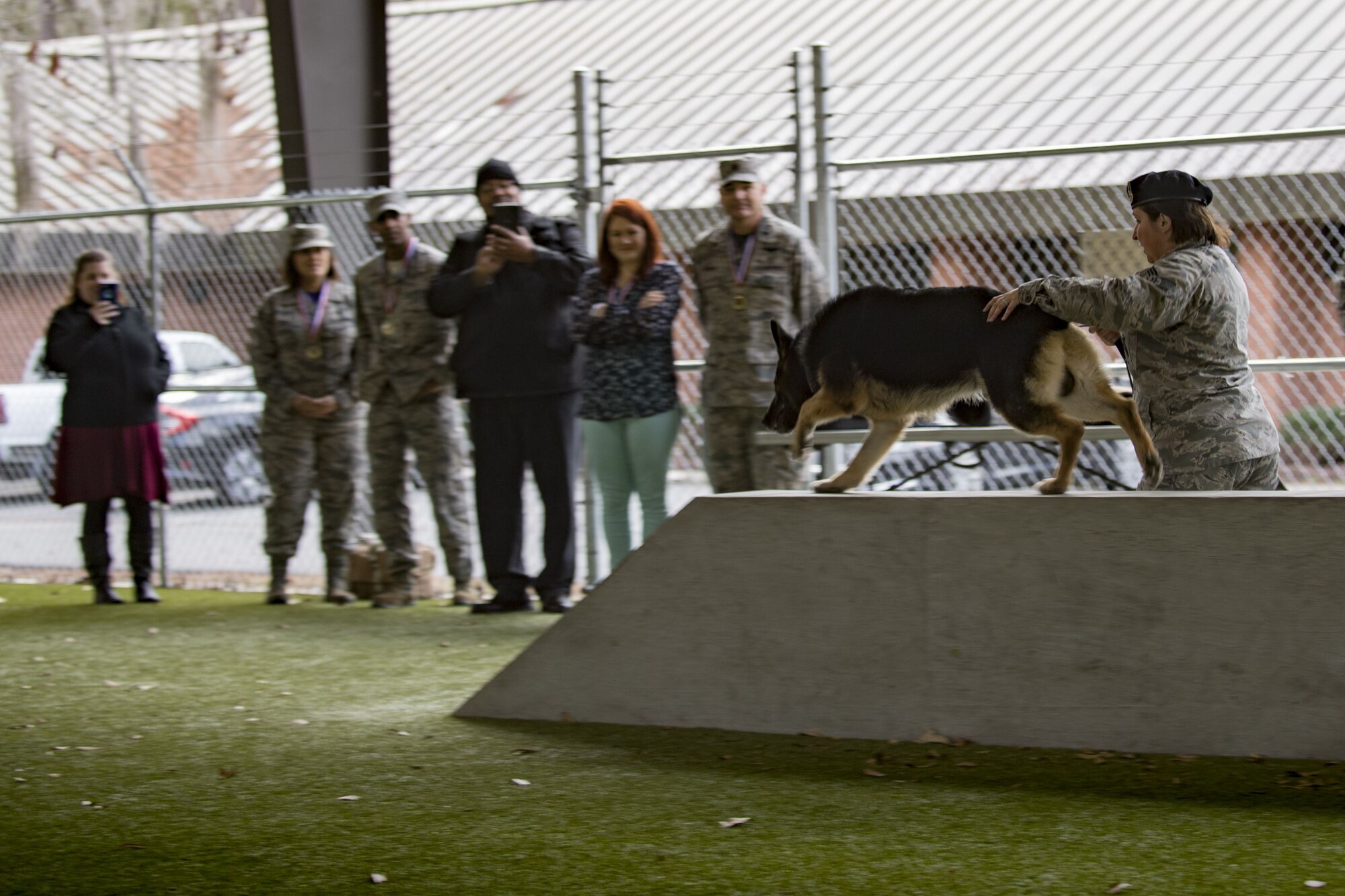 Senior Airman Ashlee Pollard, 23d Security Forces Squadron military working dog handler, directs MWD Falo through an obstacle course during a Tour of Champions, Feb. 2, 2018, at Moody Air Force Base, Ga. The Tour of Champions recognizes 23d Wing annual award nominees and an opportunity to gain a better perspective of the 23d Wing’s mission. (U.S. Air Force photo by Senior Airman Daniel Snider)