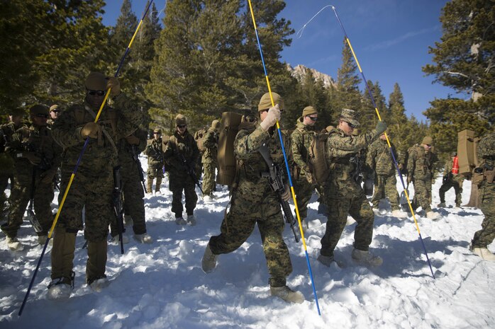 Marines with Combat Logistics Regiment 25, 2nd Marine Logistics Group look for casualties during a simulated avalanche scenario as part of cold weather training at Marine Corps Mountain Warfare Training Center, Bridgeport, Calif., Jan 28, 2018. Approximately 90 Marines participated in the week-long event where they learned survival skills, how to traverse mountainous terrain and cold weather weapons maintenance. The training will prepare the Marines for joint-force training exercise Artic Edge in northern Alaska, which will expose Marines to the peninsula’s weather extremes. (U.S. Marine Corps photo by Sgt. Brianna Gaudi)