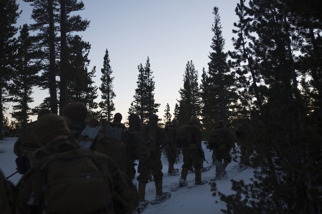 Marines with Combat Logistics Regiment 25, 2nd Marine Logistics Group traverse the tree line during an evening hike as part of cold weather training at Marine Corps Mountain Warfare Training Center, Bridgeport, Calif., Jan. 28, 2018. Approximately 90 Marines participated in the week-long event where they learned survival skills, how to traverse mountainous terrain and cold weather weapons maintenance. The training will prepare the Marines for joint-force training exercise Artic Edge in northern Alaska, which will expose Marines to the peninsula’s weather extremes. (U.S. Marine Corps photo by Sgt. Brianna Gaudi)