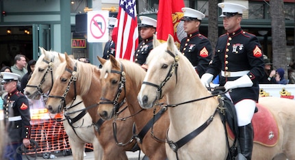 The caisson was just one of three military equestrian units in the parade, joining the Fort Hood-based 1st Cavalry Division Horse Detachment and the U.S. Marine Corps Mounted Color Guard.