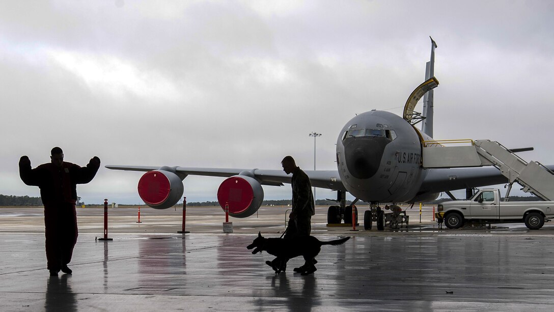A dog handler and dog approach a man in a padded suit holding his arms up on a flightline.