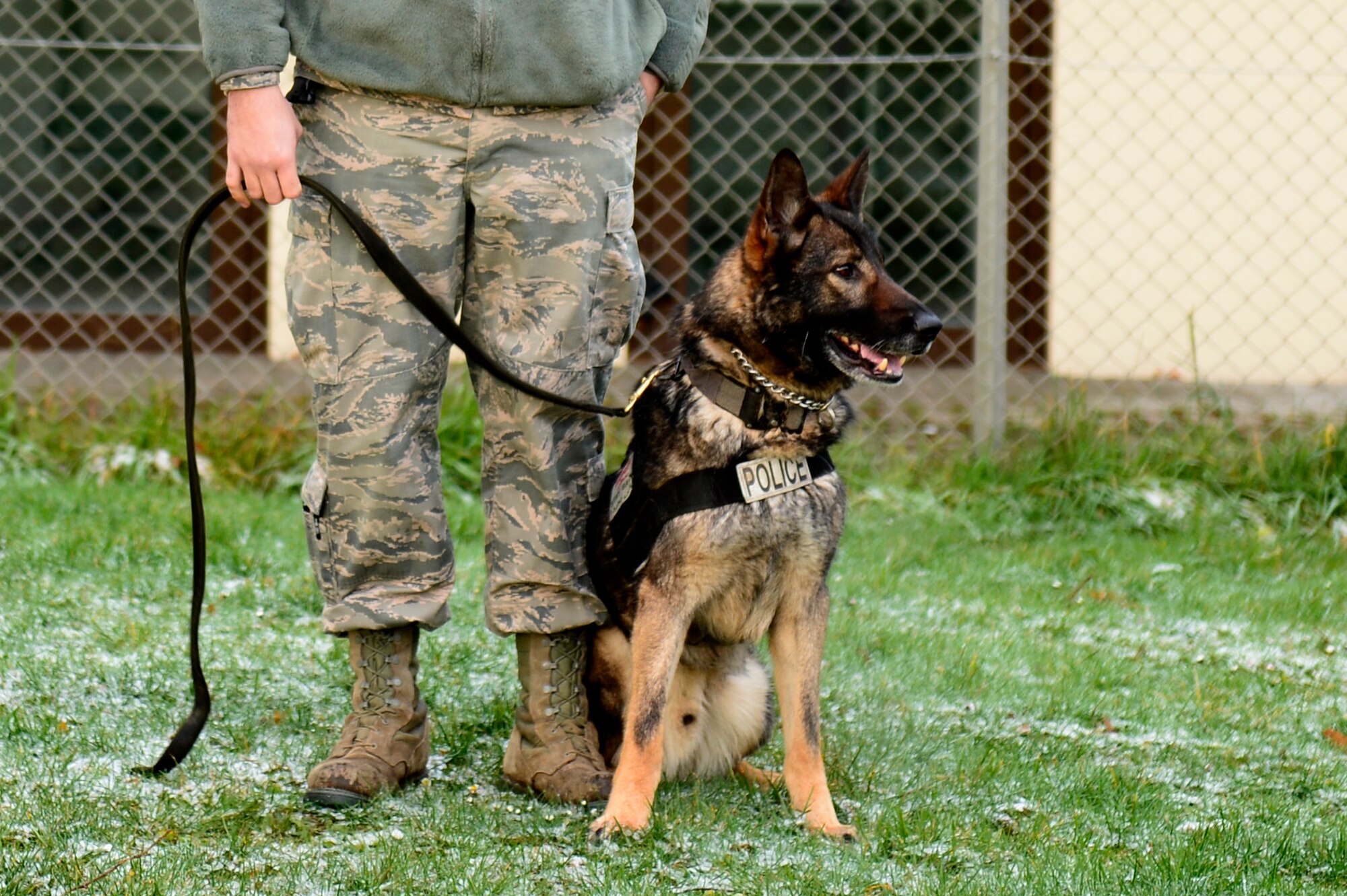 During the base tour for the award nominees, military working dog trainers showed off the skills of their military working dogs with various skill challenges.