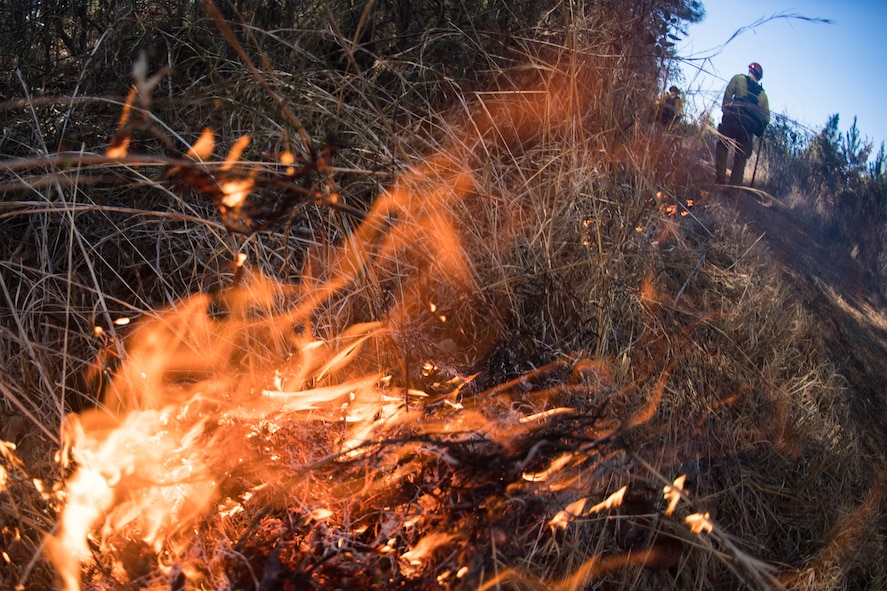 Fire and Smoke: Natural Resources controlling the burn