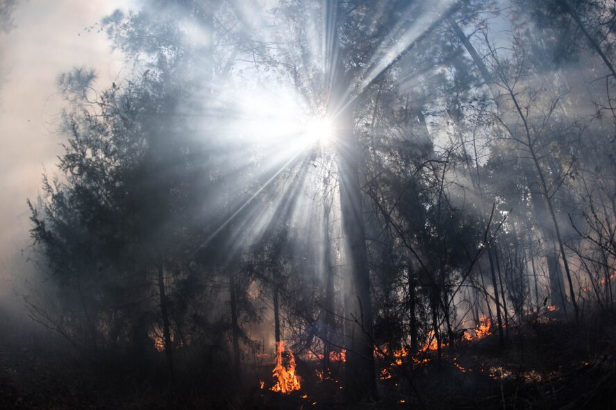 Fire and Smoke: Natural Resources controlling the burn