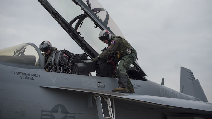 Sister services exchange Growler, Viper familiarization flights