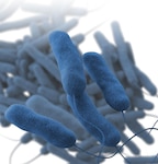 A Brooke Army Medical Center staff member who works in Building 15 was confirmed to have Legionella bacteria Feb 6.