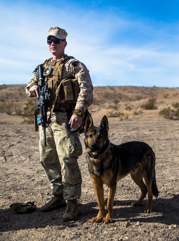 Sgt. Lary, a military working dog, and Cpl. Kevin Kelly, military working dog handler, attached to 2nd Law Enforcement battalion, waits to conduct training on the combat metal detector lane on range 114 at Marine Corps Air Ground Combat Center, Twentynine Palms, Calif., Jan. 18, 2018, as a part of Integrated Training Exercise 2-18. The purpose of ITX is to create a challenging, realistic training environment that produces combat-ready forces capable of operating as an integrated MAGTF. (U.S. Marine Corps Photo by Pfc. William Chockey)