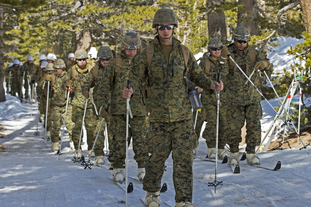 Marines cross country ski in the woods.