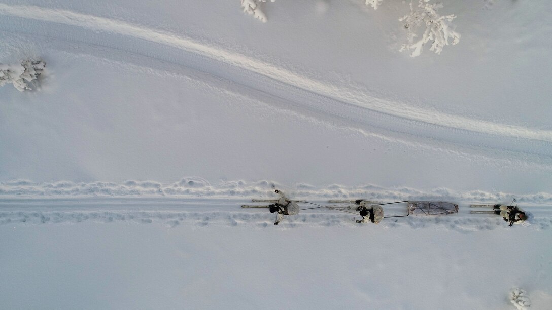Participants of the Swedish Basic Winter Warfare Course perfom a long-distance march on skis in Arvidsjaur; Sweden; Jan. 22; 2018. Marines from the Black Sea Rotational Force and the 26th Marine Expeditionary Unit; along with troops from 9 other countries; participated in the course. The course developed the participants’ capability to survive in cold-weather environment; march on skis; apply his or hers tactical skills at individual and squad levels; and to lead smaller units in winter warfare in subarctic winter conditions.