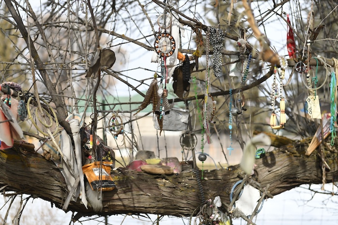 Offerings placed on a tree on the site of the Bear River Massacre near Preston, Idaho. (U.S. Air Force photo by Cynthia Griggs)