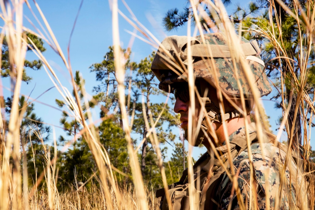 A marine stands in tall grass.