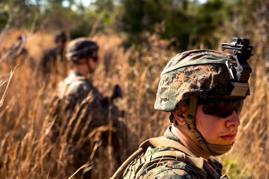 Marines and sailors stand in a field of tall grass.