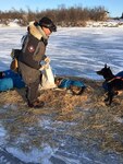 Alaska Soldier runs dogsled race