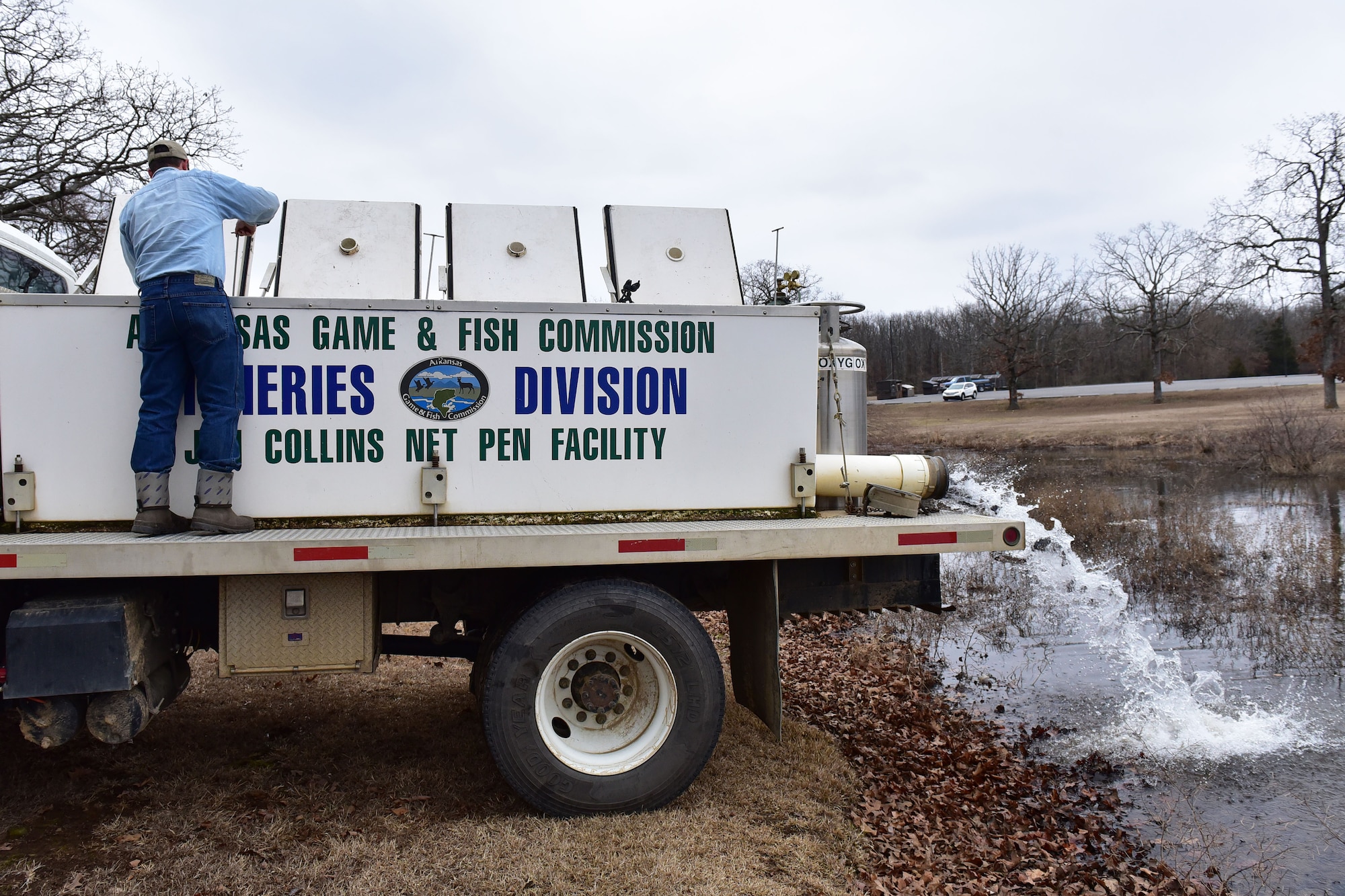 Man releases trout into small base lake from truck.