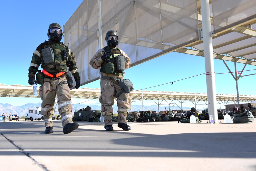 Bushwhacker 18-02 Cactus Flag