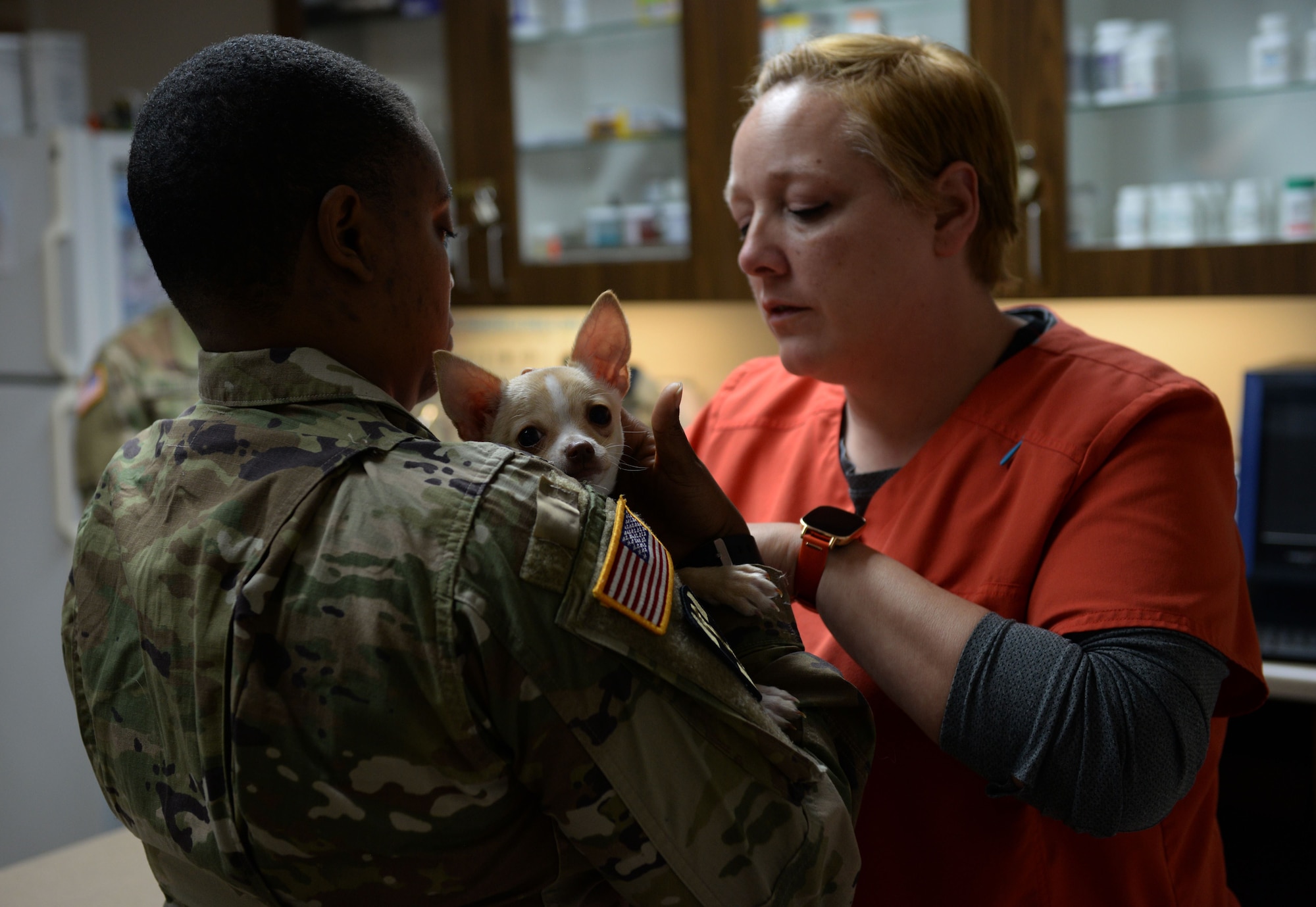 U.S. Army Staff Sgt. Constance Nicholsbingham, Fort Gordon Public Health noncommissioned officer in charge, works with Denise Wade 20th Medical Group animal health assistant, to insert a microchip into their patient at Shaw Air Force Base. S.C., Feb 7, 2018.