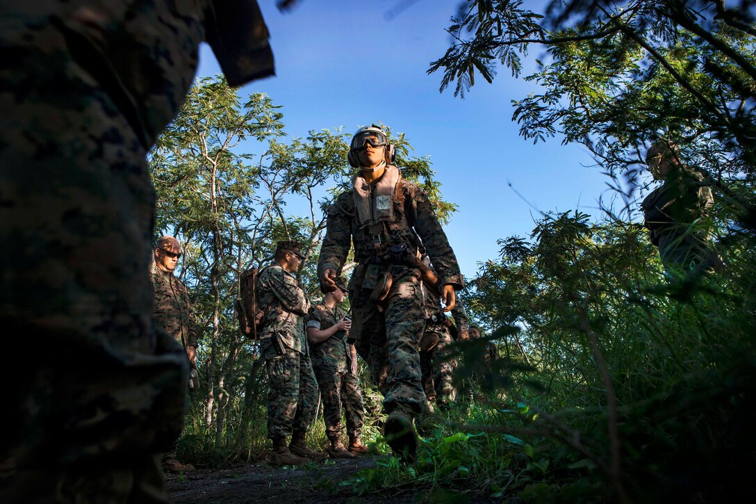 Marines march through tropical terrain.