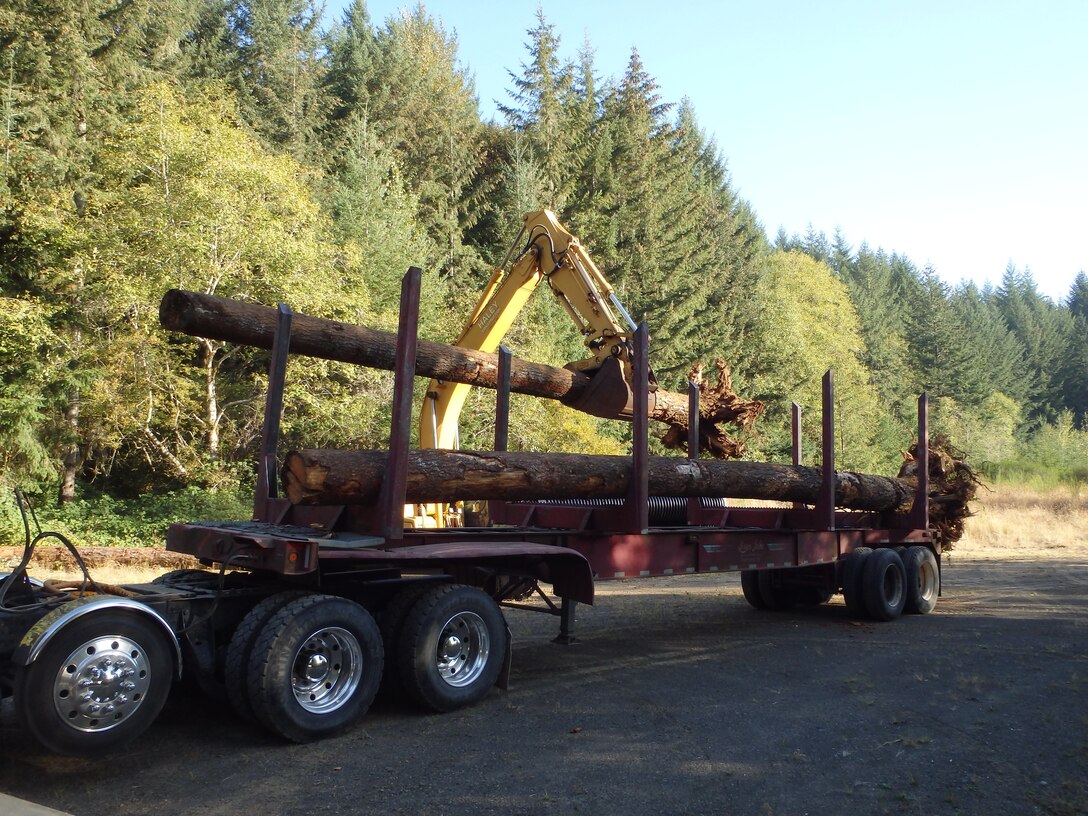 Timber donated from Portland District, U.S. Army Corps of Engineers, property used for South Santiam Watershed Council's Scott Creek restoration project.