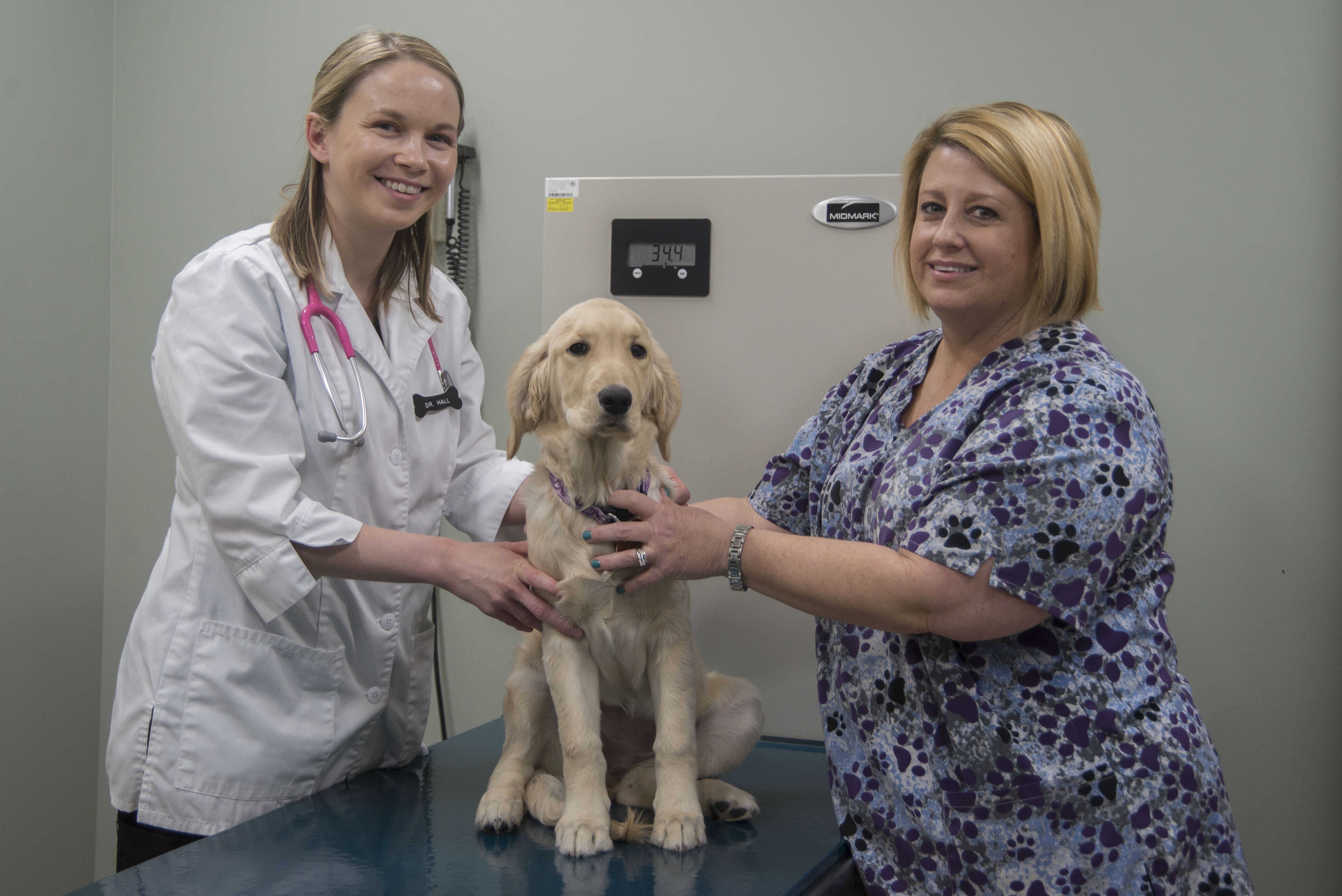 Vet Clinic Helps Make Happy Healthy Pets