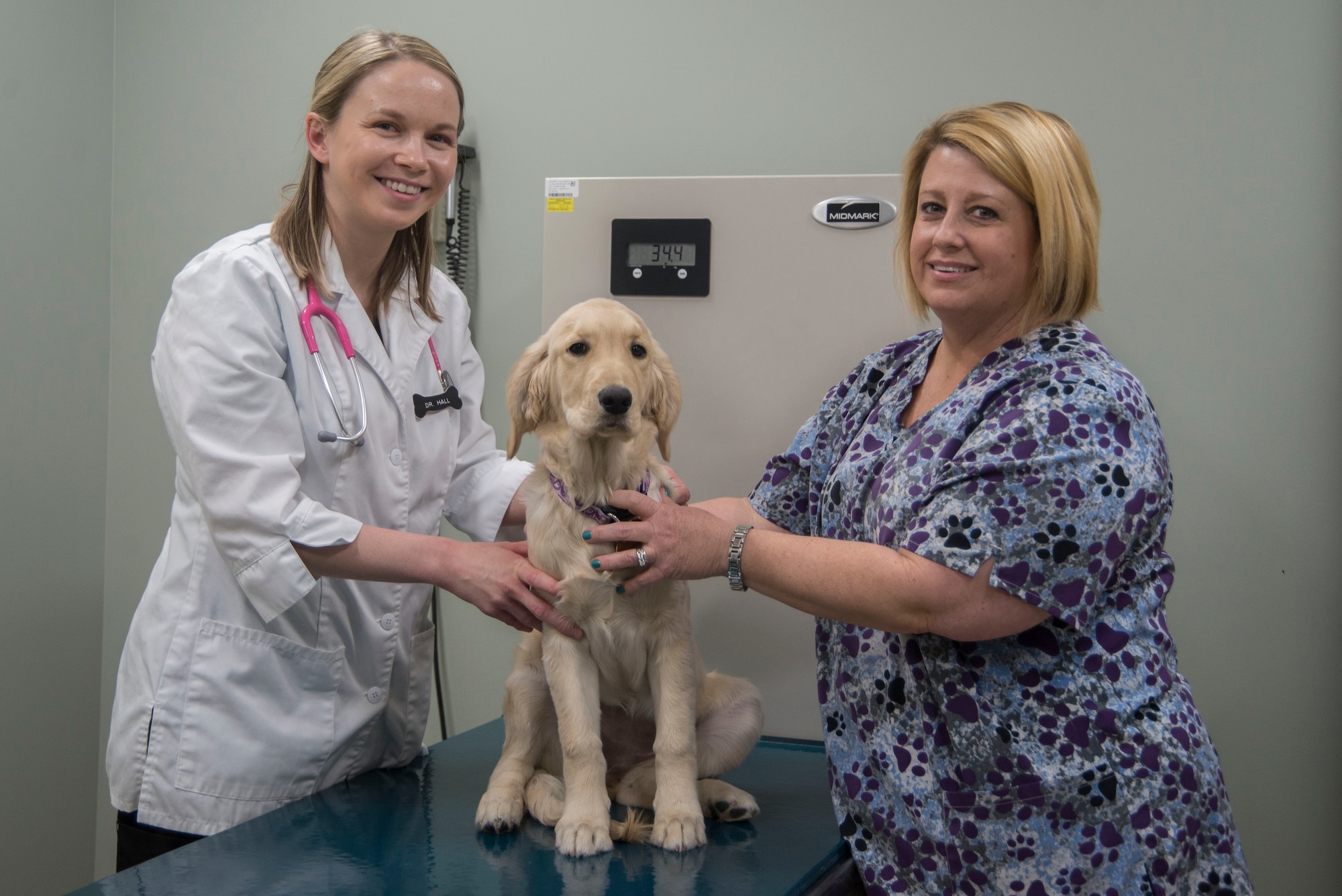 Dr. Twainna Hall, Scott Air Force Base Veterinary Treatment Facility veterinarian, and Melissa Duran, her veterinary technician, perform a general check-up on a dog Feb. 12, 2018, at Scott AFB, Illinois. A general check-up covers a variety of items including checking the animal’s teeth, spine, heart and lungs. (U.S. Air Force photo by Senior Airman Melissa Estevez)