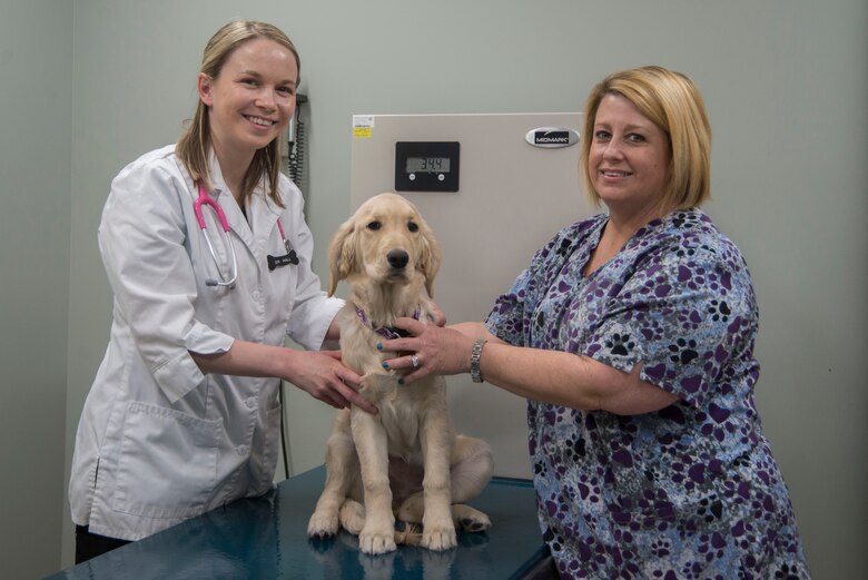 Vet Clinic Helps Make Happy Healthy Pets Scott Air Force Base Display