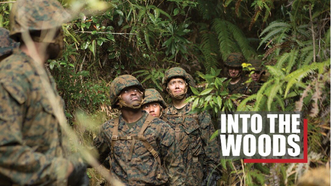 Marines with Communications Company, Headquarters Regiment, 3rd Marine Logistics Group, look up their next obstacle during the Endurance Course on Camp Gonsalves, Okinawa, Japan, Feb. 16, 2018. The E-Course is the culminating event in the Basic Jungle Skills Course, consisting of obstacles scattered through the hill-riddled jungle. BJSC is designed to teach Marines how to operate in a jungle environment. (U.S. Marine Corps photo by Lance Cpl. Jamin M. Powell)