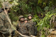 Marines with Communications Company, Headquarters Regiment, 3rd Marine Logistics Group, look up their next obstacle during the Endurance Course on Camp Gonsalves, Okinawa, Japan, Feb. 16, 2018. The E-Course is the culminating event in the Basic Jungle Skills Course, consisting of obstacles scattered through the hill-riddled jungle. BJSC is designed to teach Marines how to operate in a jungle environment. (U.S. Marine Corps photo by Lance Cpl. Jamin M. Powell)