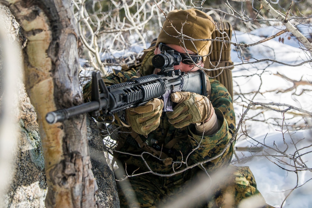 A Marines kneels in the snow behind a tree holding a weapon.