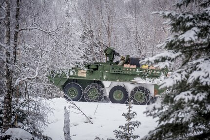 Soldiers assigned to the 1st Battalion, 5th Infantry Regiment, 1st Stryker Brigade Combat Team, 25th Infantry Division, U.S. Army Alaska, maneuver into position for gunnery on Joint Base Elmendorf-Richardson, Alaska, during Operation Punch Bowl. The Fort Wainwright based Soldiers' operation culminated with multiple live-fire and combat training events.