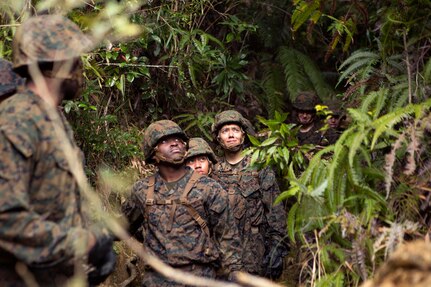 Marines look up at their next obstacle during the Endurance Course.