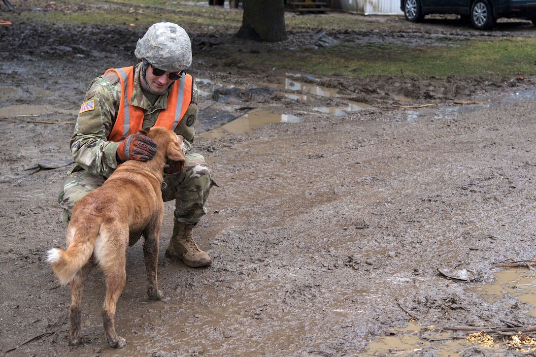 A soldier pets a dog's head on a mud road.