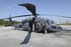 Pavehawks, Eagles