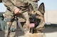 Handlers practice controlled aggression training with military working dogs in order to deal with hostile people.