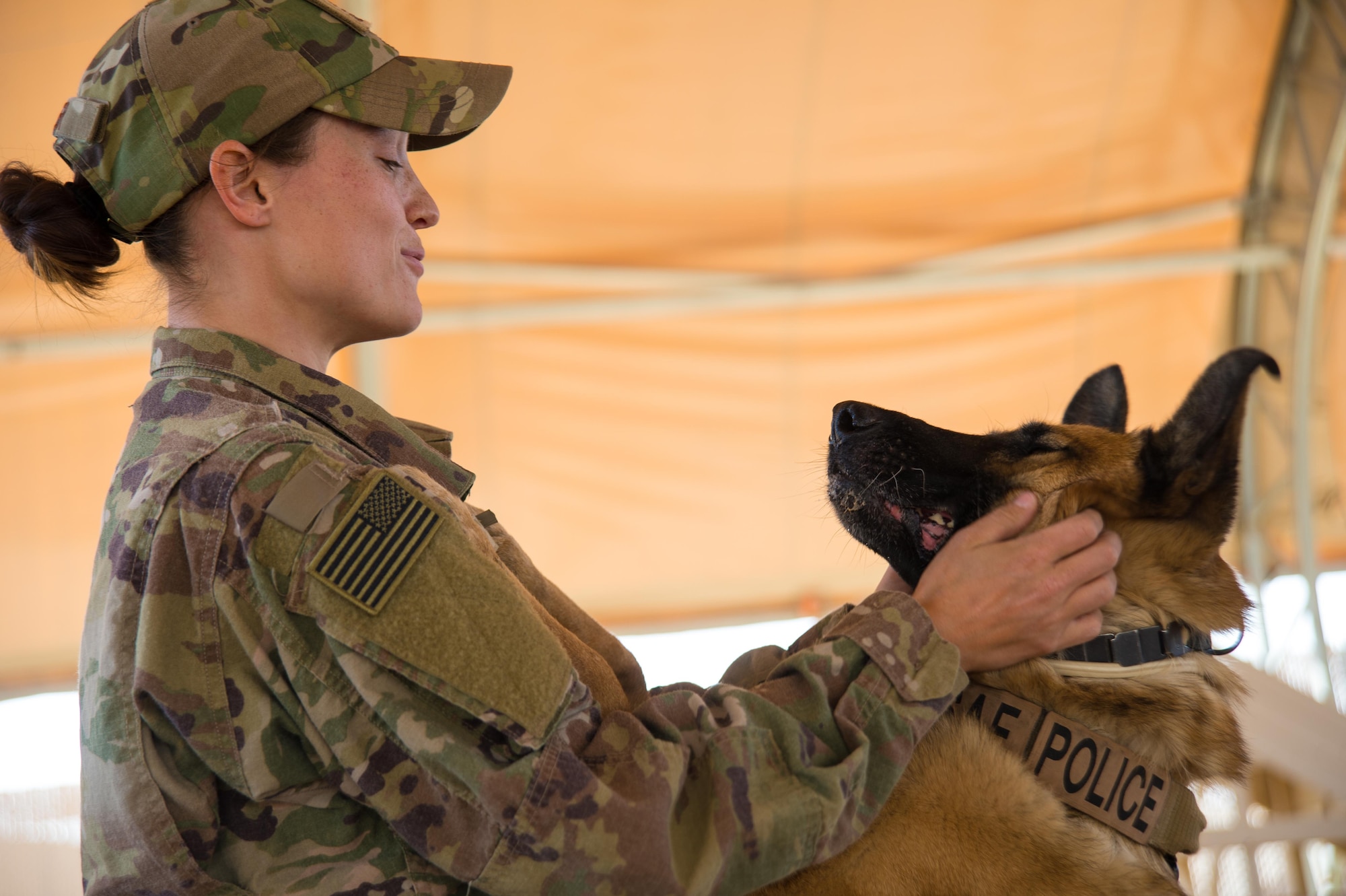 Handlers practice controlled aggression training with military working dogs in order to deal with hostile people.