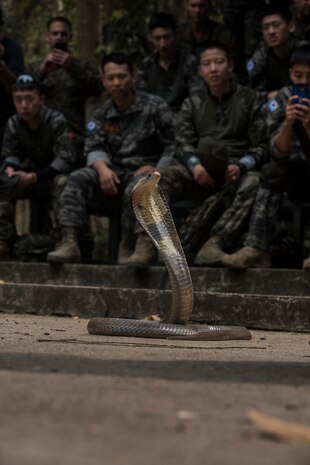 The annual exercise is conducted in the Kingdom of Thailand held from Feb. 13-23 with seven full participating nations.