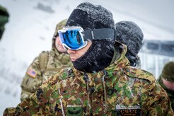 U.S., Allied, and partner-nation Soldiers from nine countries participate in the Cold Regions Military Collaborative Training Event at Arctic Valley in Joint Base Elmendorf-Richardson, Alaska, Feb. 22, 2018. The U.S. Army Alaska hosted event focused on strengthening relationships among allied and partner nations with experience operating in cold weather, and at high elevations; and set conditions for future collaboration.
