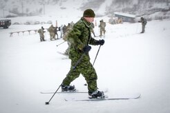 U.S., Allied, and partner-nation Soldiers from nine countries participate in the Cold Regions Military Collaborative Training Event at Arctic Valley in Joint Base Elmendorf-Richardson, Alaska, Feb. 22, 2018. The U.S. Army Alaska hosted event focused on strengthening relationships among allied and partner nations with experience operating in cold weather, and at high elevations; and set conditions for future collaboration.