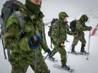 U.S., Allied, and partner-nation Soldiers from nine countries participate in the Cold Regions Military Collaborative Training Event at Arctic Valley in Joint Base Elmendorf-Richardson, Alaska, Feb. 22, 2018. The U.S. Army Alaska hosted event focused on strengthening relationships among allied and partner nations with experience operating in cold weather, and at high elevations; and set conditions for future collaboration.