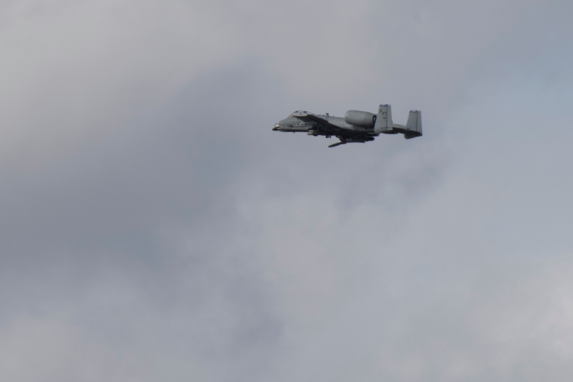 An A-10C Thunderbolt II aircraft releases an inert bomb on to a target given by ally forces during combined training, Feb. 21, 2018, at Moody Air Force Base, Ga. Ally forces from the Canadian Royal Air Force and New Zealand army traveled to Moody AFB to train with the 75th Fighter Squadron on close air support. (U.S. Air Force photo by Staff Sgt. Eric Summers Jr.)