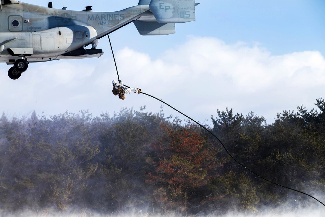 Marines fast-rope from a V-22 Osprey aircraft while participating in vertical insertion during Exercise Forest Light.