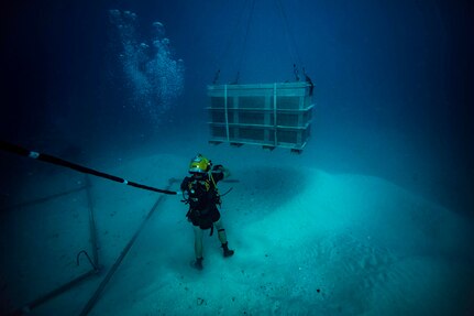 USNS Salvor, MDSU Divers Team Up with DPAA to Recover WWII Pilot's Remains Near Palau