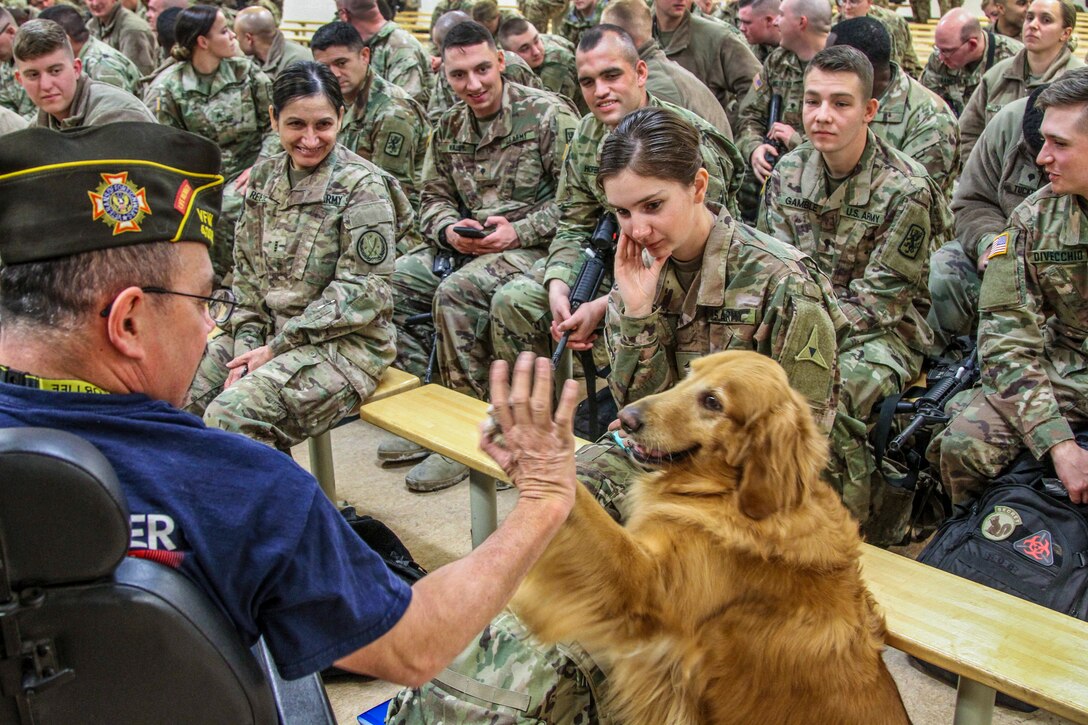 Soldiers sitting on benches watch as a golden retriever holds his paw up to a man's extended hand.
