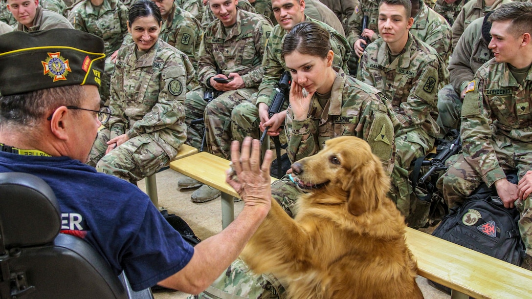 Soldiers sitting on benches watch as a golden retriever holds his paw up to a man's extended hand.