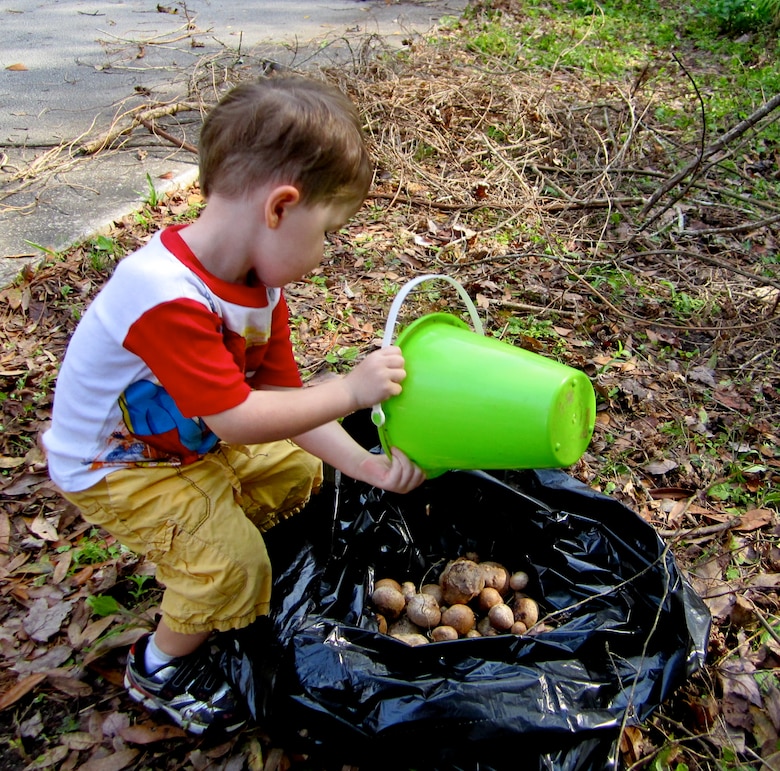 A young volunteer collecting air potatoes