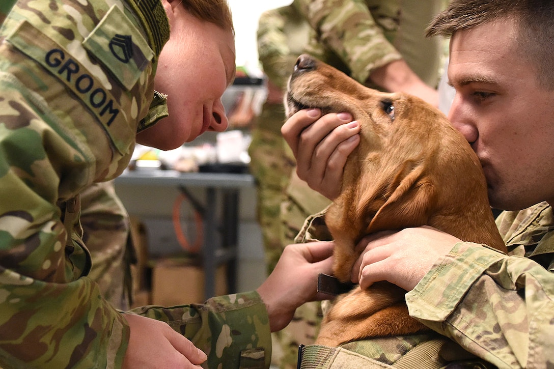 Army National Guardsmen conducted military working dog medical training.