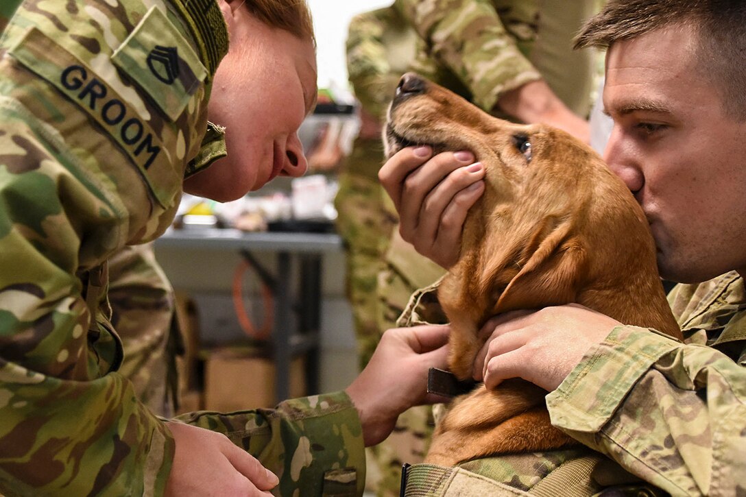 One soldier holds a dog's muzzle and kisses the top of his head as another examines him.