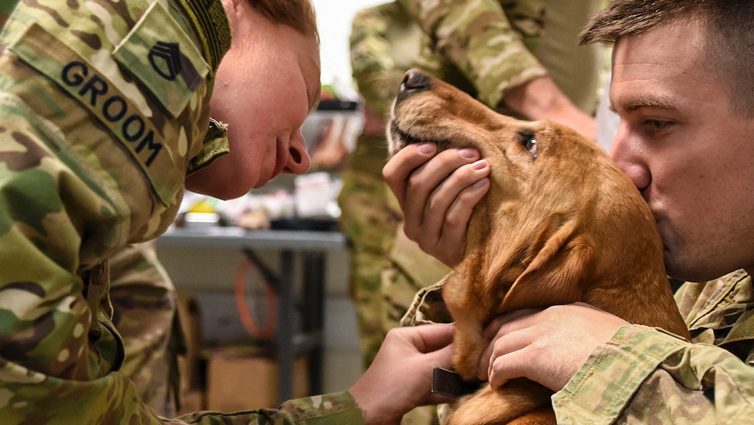 One soldier holds a dog's muzzle and kisses the top of his head as another examines him.