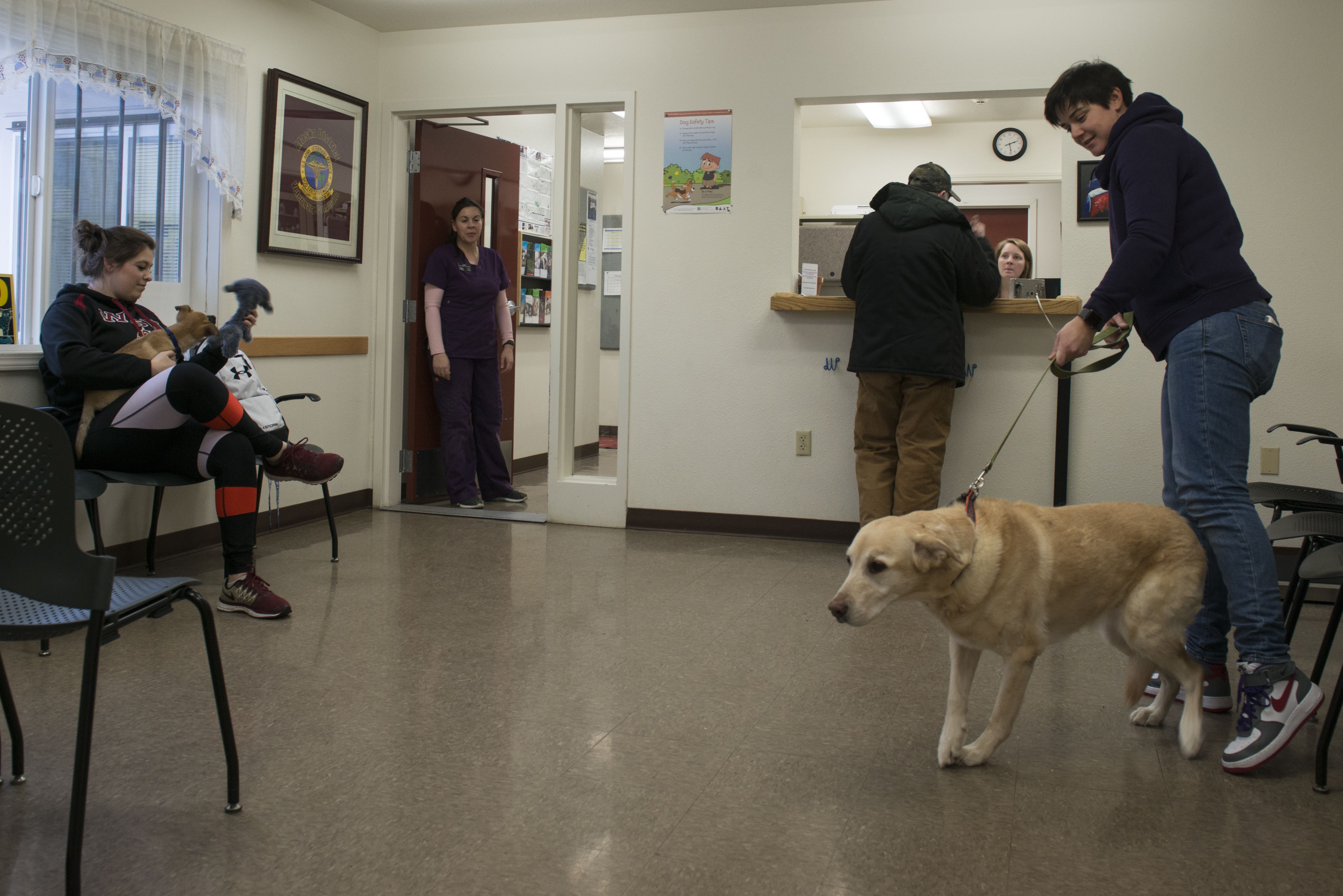 JBER Vet Clinic provides care to animals